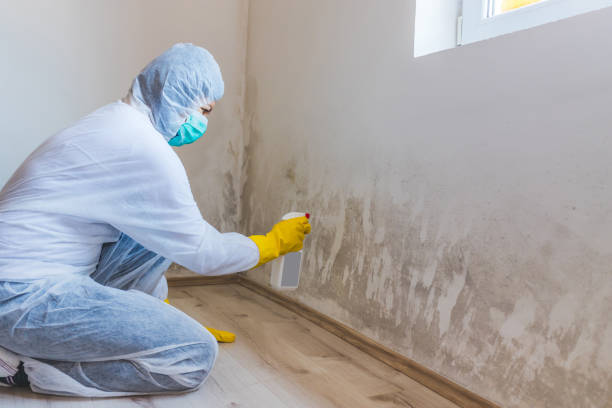 Licensed Mold Testing service in Knoxville, TN - WQB Mold Removal