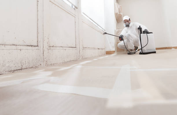 24/7 Emergency Mold Testing experts in Knoxville, TN
