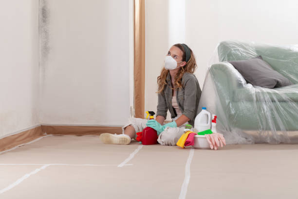 Reliable Mold Testing contractor in Knoxville, TN by WQB Mold Removal
